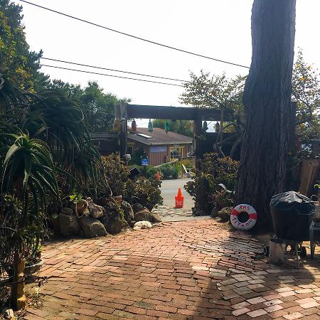 Stinson Beach Redwoods Haus Bed & Breakfast Luaran gambar