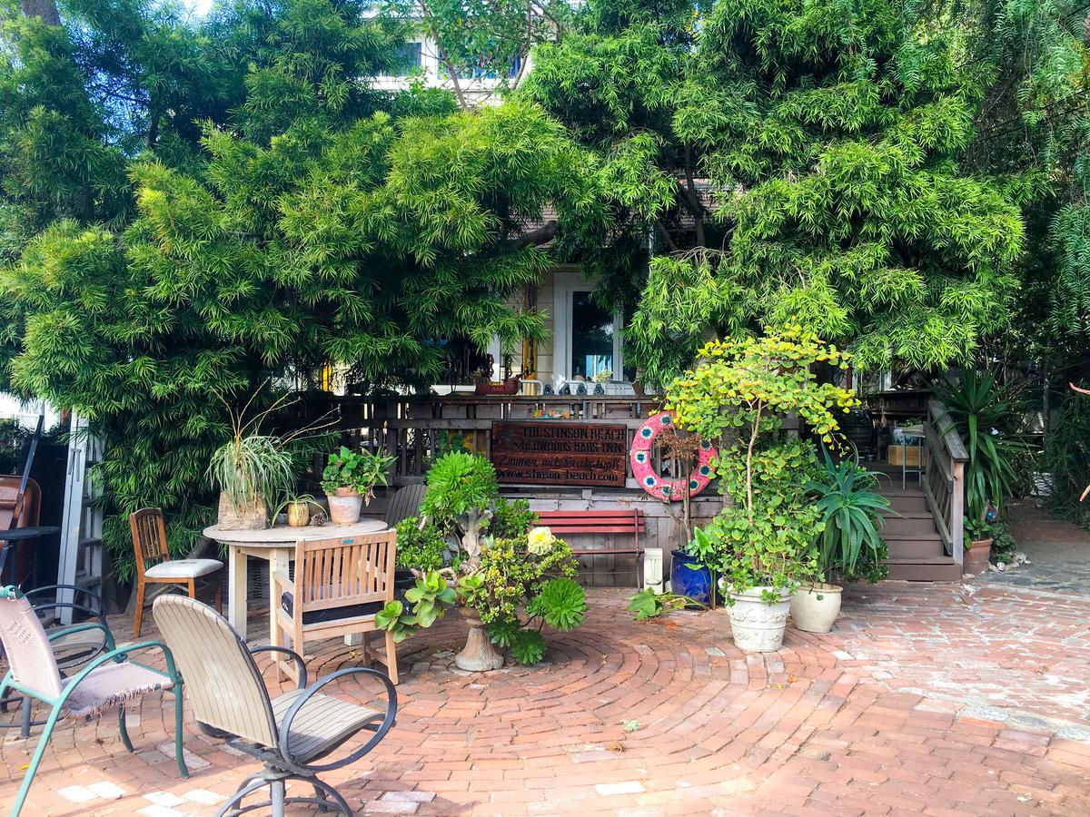 Stinson Beach Redwoods Haus Bed & Breakfast Luaran gambar