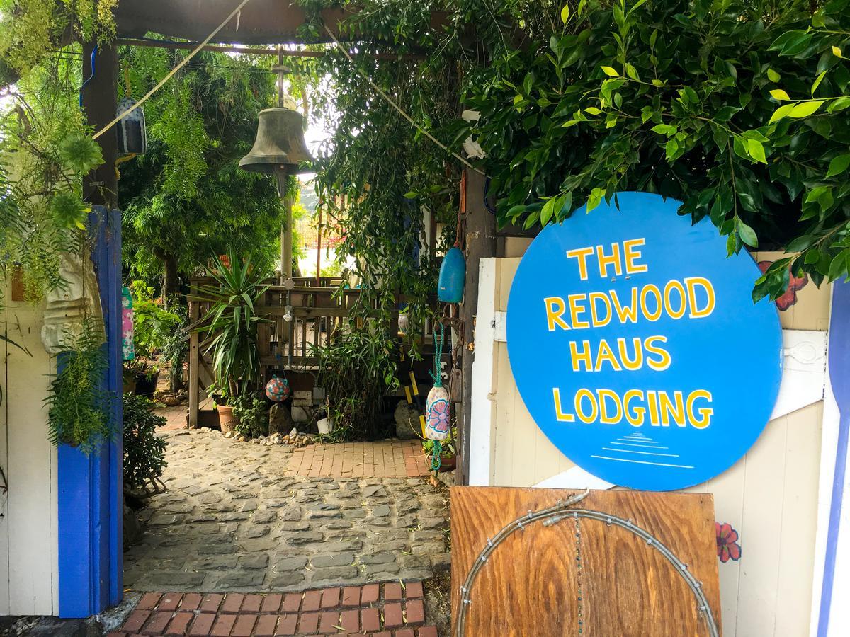 Stinson Beach Redwoods Haus Bed & Breakfast Luaran gambar